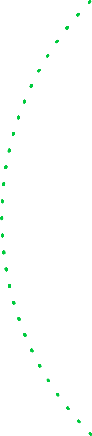 Image bottom