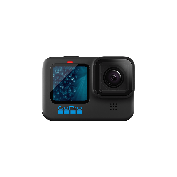 GoPro HERO11 Black (KIT PRO)